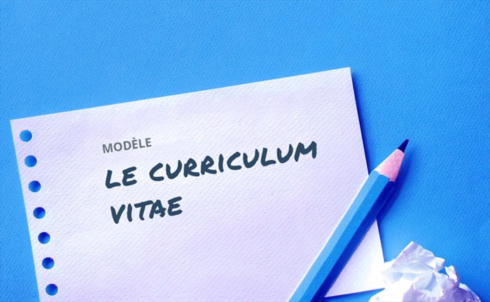 Telecharger Le Curriculum Vitae Jobscout24